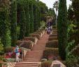 Jardin Botanique Marimurtra Luxe Marimurtra Botanical Garden Blanes Catalonia – Stock