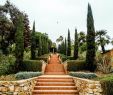 Jardin Botanique Marimurtra Luxe Marimurtra Botanical Gardens Spain Con Imágenes