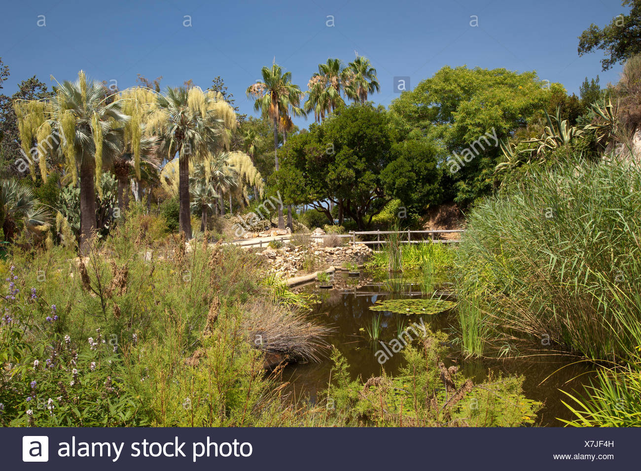 jard botnic marimurtra botanical gardens blanes la selva costa brava catalonia spain europe X7JF4H