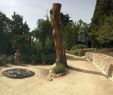 Jardin Botanique Marimurtra Unique Mar I Murtra Sculptures – Miquel Gelabert