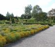 Jardin Botanique Montreal Beau File Useful Plants Garden Montreal Botanical Garden 36