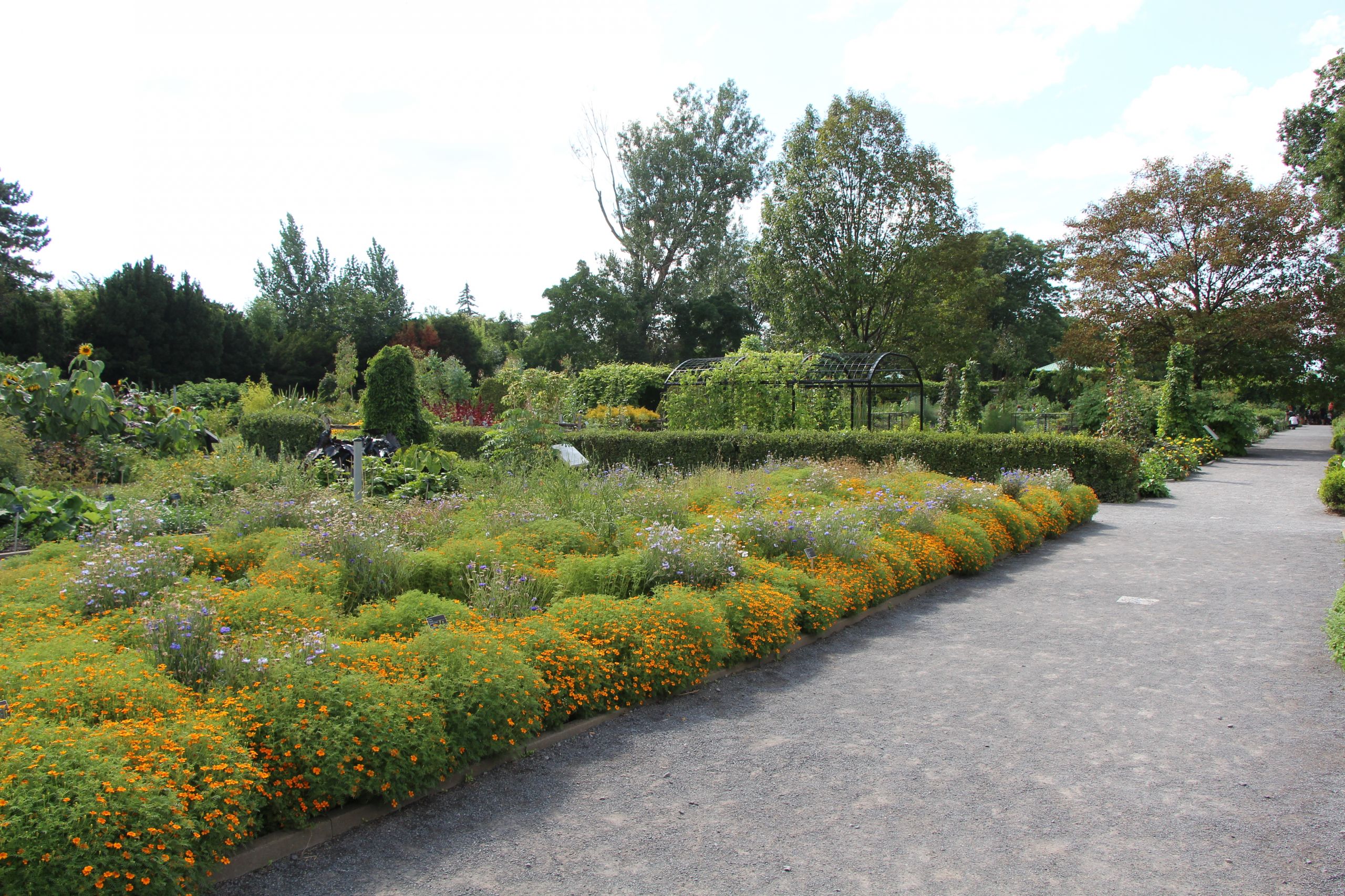 Useful Plants Garden Montreal Botanical Garden 36