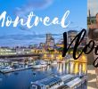 Jardin Botanique Montreal Beau Montreal Food Vlog Sugar Shack