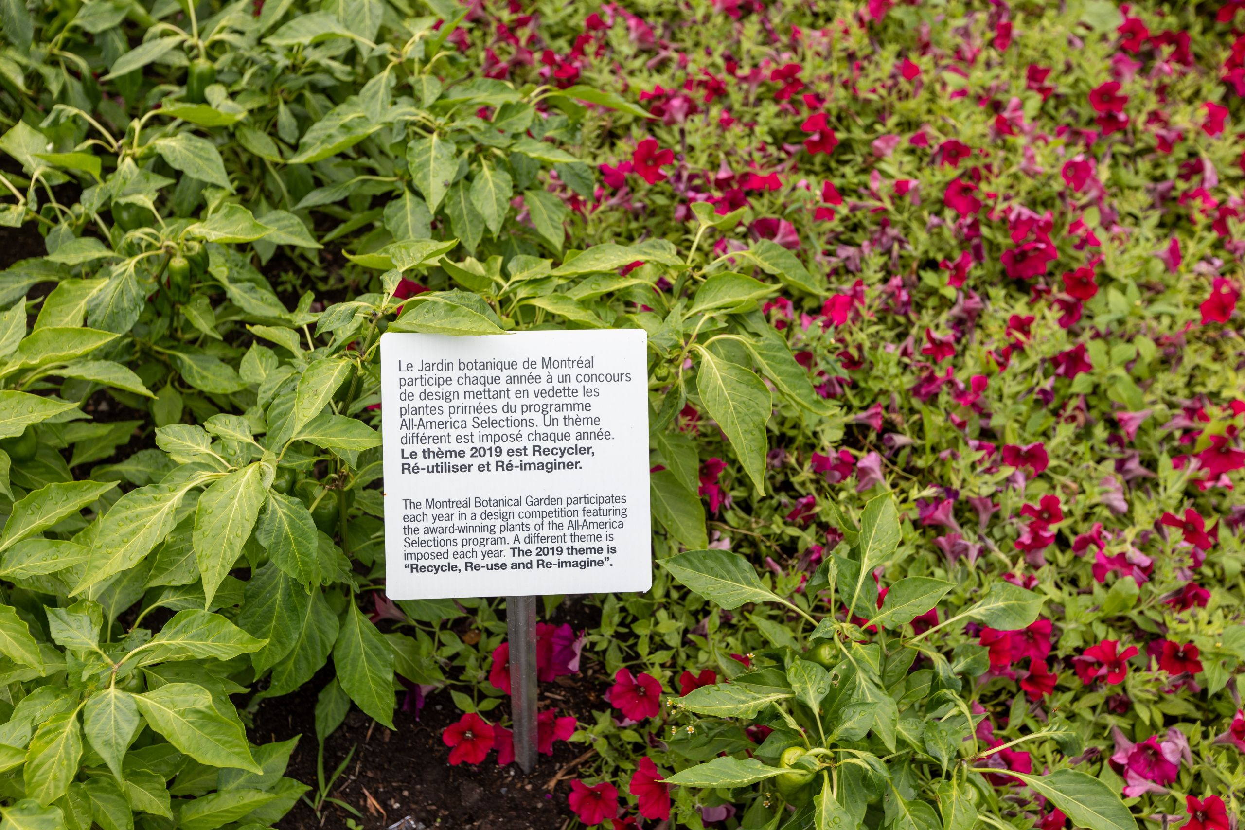 Jardin Botanique Montreal Beau Second Place Winner norseco at Montreal Botanical Garden