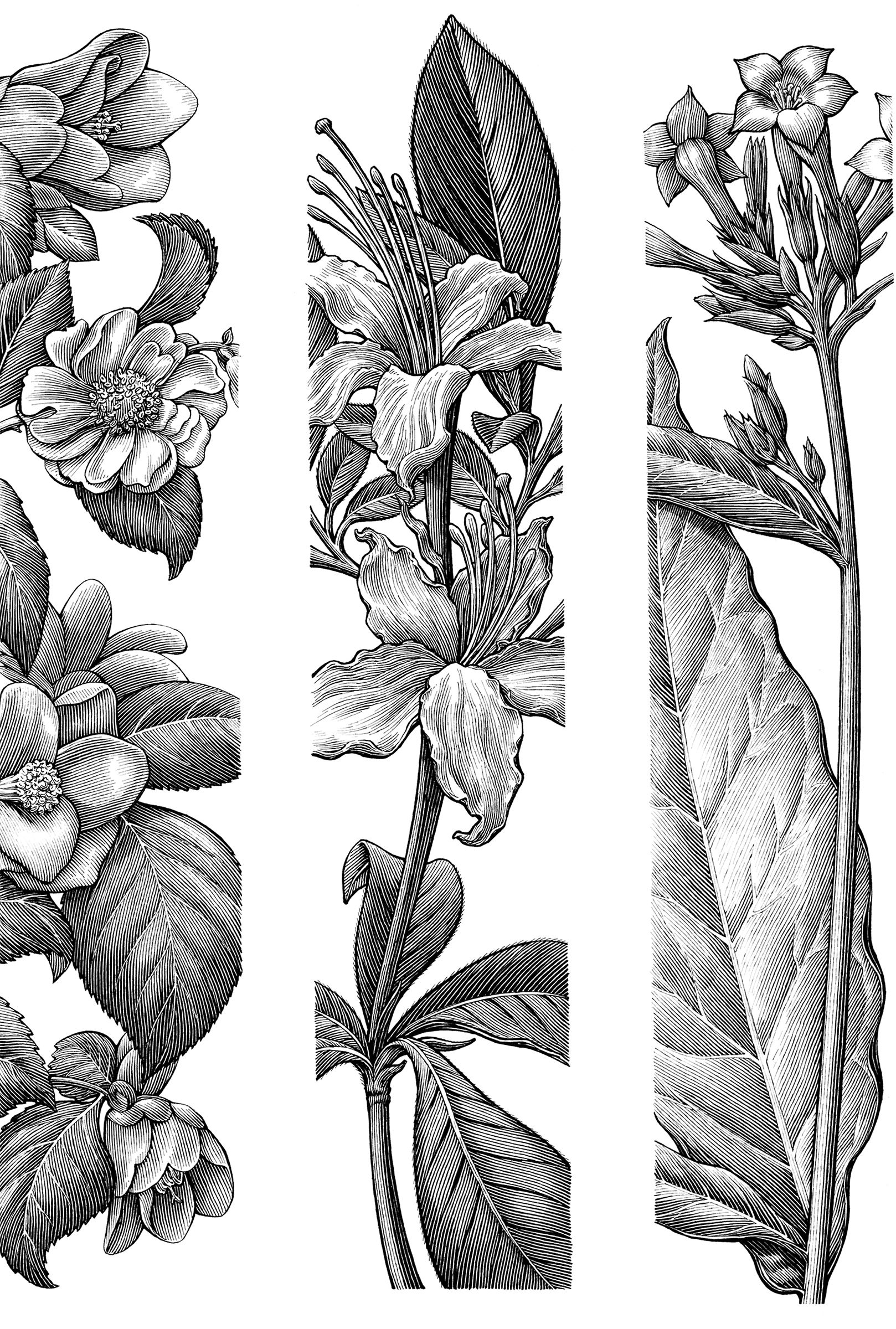Jardin Botanique Montreal Best Of Check Out This Behance Project "bronx Botanical Garden