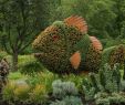 Jardin Botanique Montreal Best Of Fish Plant Sculpture