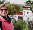 Jardin Botanique Montreal Charmant Japanese Garden Montreal 2020 All You Need to Know