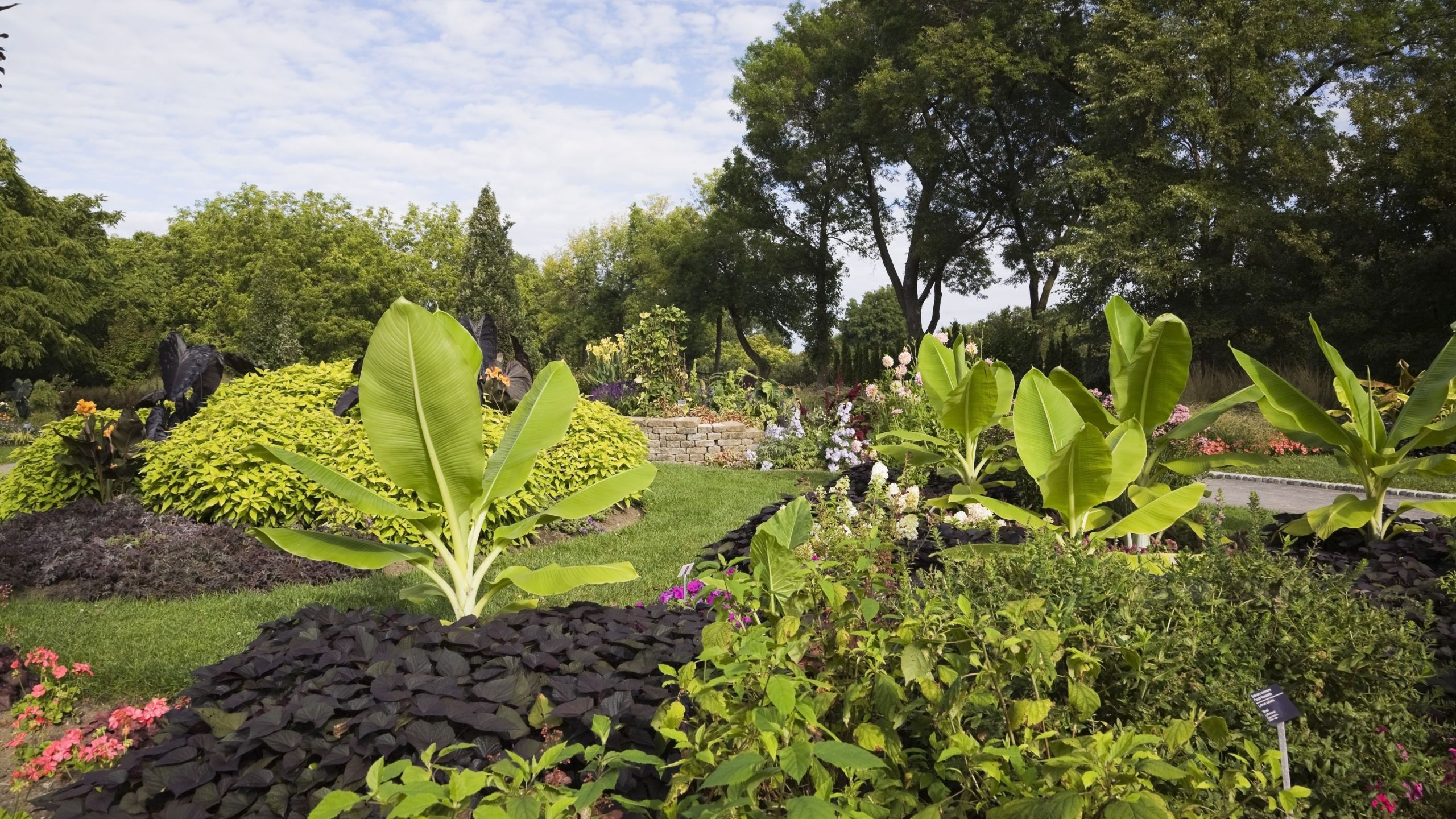 montreal botanical garden in summer montreal quebec canada 5c355e2c46e0fb b
