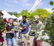 Jardin Botanique Montreal Élégant 21st Great Gardening Weekend at the Jardin Botanique May 25