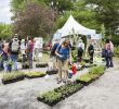 Jardin Botanique Montreal Génial 21st Great Gardening Weekend at the Jardin Botanique May 25