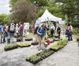 Jardin Botanique Montreal Génial 21st Great Gardening Weekend at the Jardin Botanique May 25