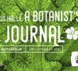 Jardin Botanique Montreal Génial Francis Hallé A Botanist S Journal