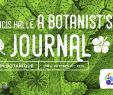 Jardin Botanique Montreal Génial Francis Hallé A Botanist S Journal
