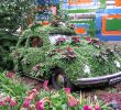 Jardin Botanique Montreal Inspirant File Botanical Gardens Greenhouse Jpg Wikimedia Mons