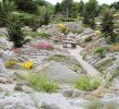 Jardin Botanique Montreal Inspirant File Jardin Crevasses Jb Wikimedia Mons