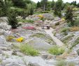 Jardin Botanique Montreal Inspirant File Jardin Crevasses Jb Wikimedia Mons