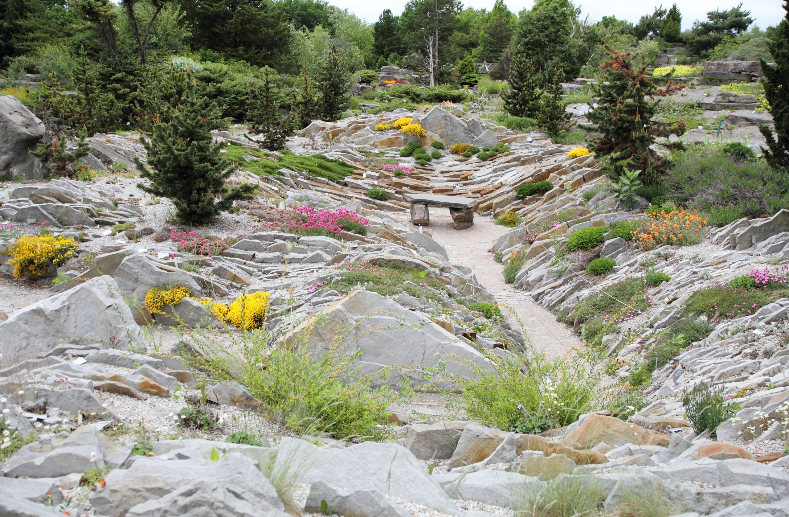 Jardin Botanique Montreal Inspirant File Jardin Crevasses Jb Wikimedia Mons