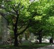 Jardin Botanique Montreal Inspirant Frederic Druot Architecture Les Architectes Fabg Lacaton