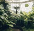 Jardin Botanique Montreal Inspirant Inside Clapton Tram — A Plant Filled Warehouse Space