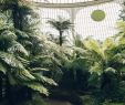 Jardin Botanique Montreal Inspirant Inside Clapton Tram — A Plant Filled Warehouse Space
