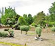 Jardin Botanique Montreal Nouveau File Travail De Patience   Préparer Les Mosa¯cultures Au