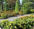 Jardin Botanique Montreal Nouveau File Useful Plants Garden Montreal Botanical Garden 39