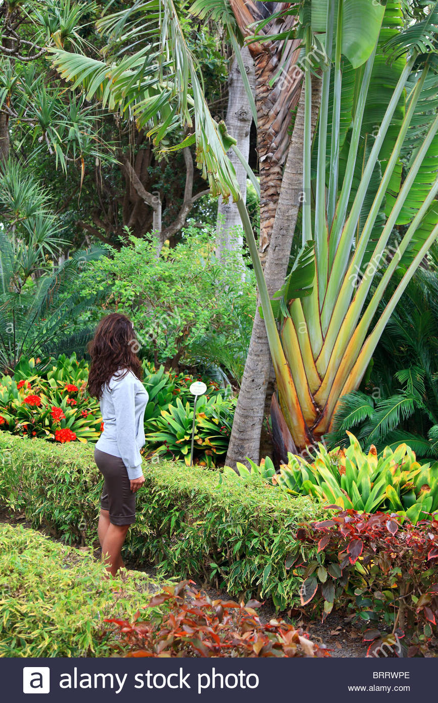 canary islands tenerife puerto de la cruz jardin botanico botanical BRRWPE