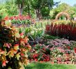 Jardin Botanique Montreal Unique File Garden Of Innovations Montreal Botanical Garden 38