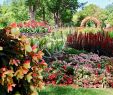 Jardin Botanique Montreal Unique File Garden Of Innovations Montreal Botanical Garden 38