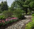 Jardin Botanique Montreal Unique Floralies Gardens Parc Jean Drapeau