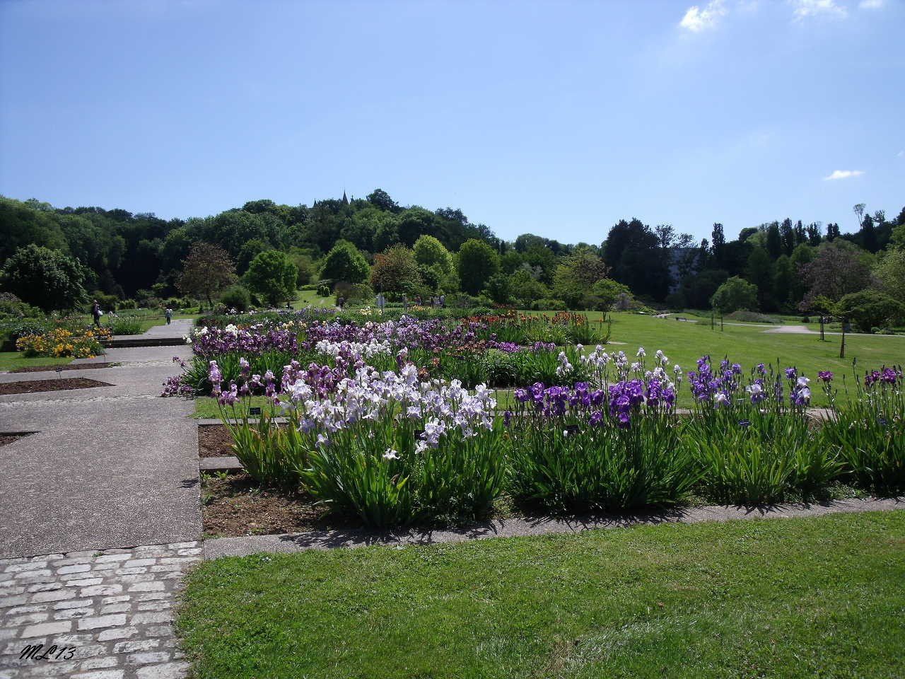 Jardin Botanique Nancy Élégant Iris In Jardin Botanique Du Montet Inandaroundlorraine