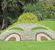 Jardin Botanique Nantes Beau File Le Jardin Des Plantes Nantes