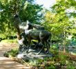 Jardin Botanique Nantes Beau File Nantes Jardin Des Plantes Les Cerfs Au Repos 06