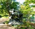 Jardin Botanique Nantes Beau File Nantes Jardin Des Plantes Les Cerfs Au Repos 06