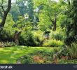 Jardin Botanique Nantes Beau Jardin Des Plantes Botanical Garden Nantes Stock Edit