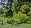 Jardin Botanique Nantes Beau Karel Vesely Veselykarel On Pinterest