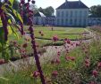 Jardin Botanique Nantes Beau Parc Du Grand Blottereau Nantes 2020 All You Need to