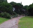 Jardin Botanique Nantes Beau Parc Du Grand Blottereau Nantes 2020 All You Need to