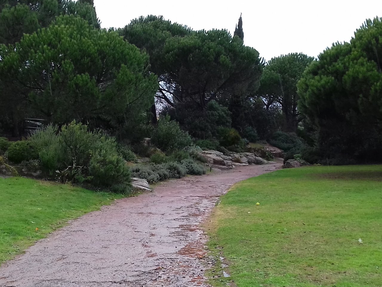 Jardin Botanique Nantes Beau Parc Du Grand Blottereau Nantes 2020 All You Need to