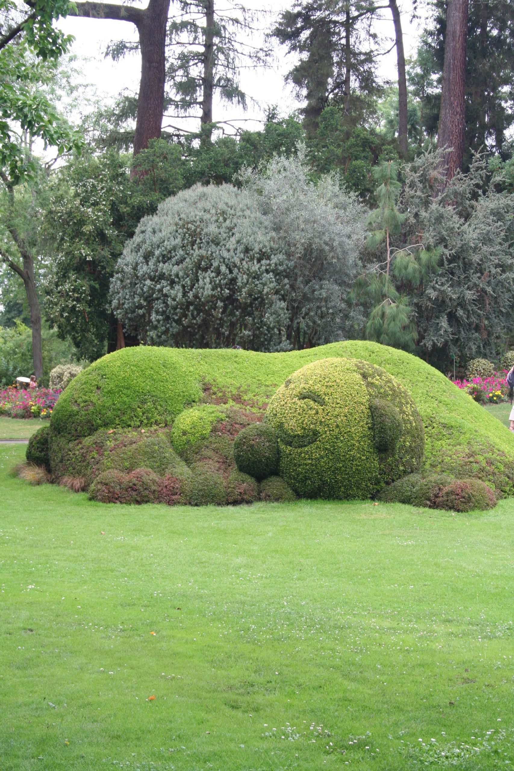 Jardin Botanique Nantes Beau Un Chien Dans Le Jardin Des Plantes De Nantes