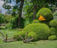 Jardin Botanique Nantes Best Of Karel Vesely Veselykarel On Pinterest