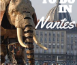Jardin Botanique Nantes Charmant 6 Awesome Things to Do In Nantes France
