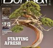 Jardin Botanique Nantes Charmant E B I 2018 05 06 Downmagaz Bonsai