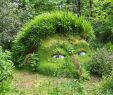 Jardin Botanique Nantes Charmant Renata Kovacova Kovacova0552 Na Pintereste