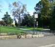 Jardin Botanique Nantes Charmant Rennes Familypedia