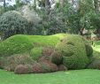 Jardin Botanique Nantes Élégant File Claude Ponti Au Jardin Des Plantes Le Voyage   Nantes