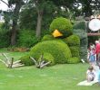 Jardin Botanique Nantes Élégant File Jardin Des Plantes Nantes 2014 07 Le Massif Du