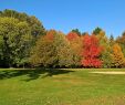 Jardin Botanique Nantes Frais Golf Bluegreen Nantes Erdre 2020 All You Need to Know