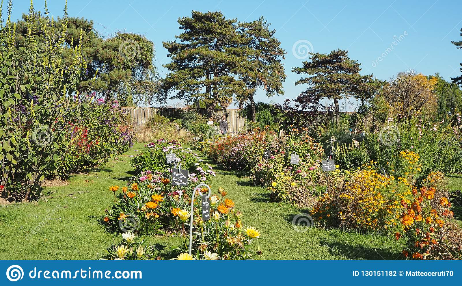 nantes france jardin des plantes de nantes municipal botanical garden city center nantes france jardin des