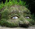 Jardin Botanique Nantes Frais Renata Kovacova Kovacova0552 Na Pintereste